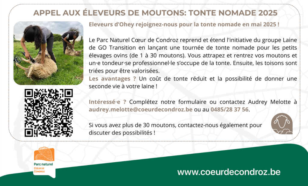 Tonte nomade pour les éleveurs de moutons