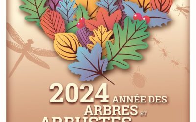 BiodiverCité – semaine de l’arbre 30/11/2024